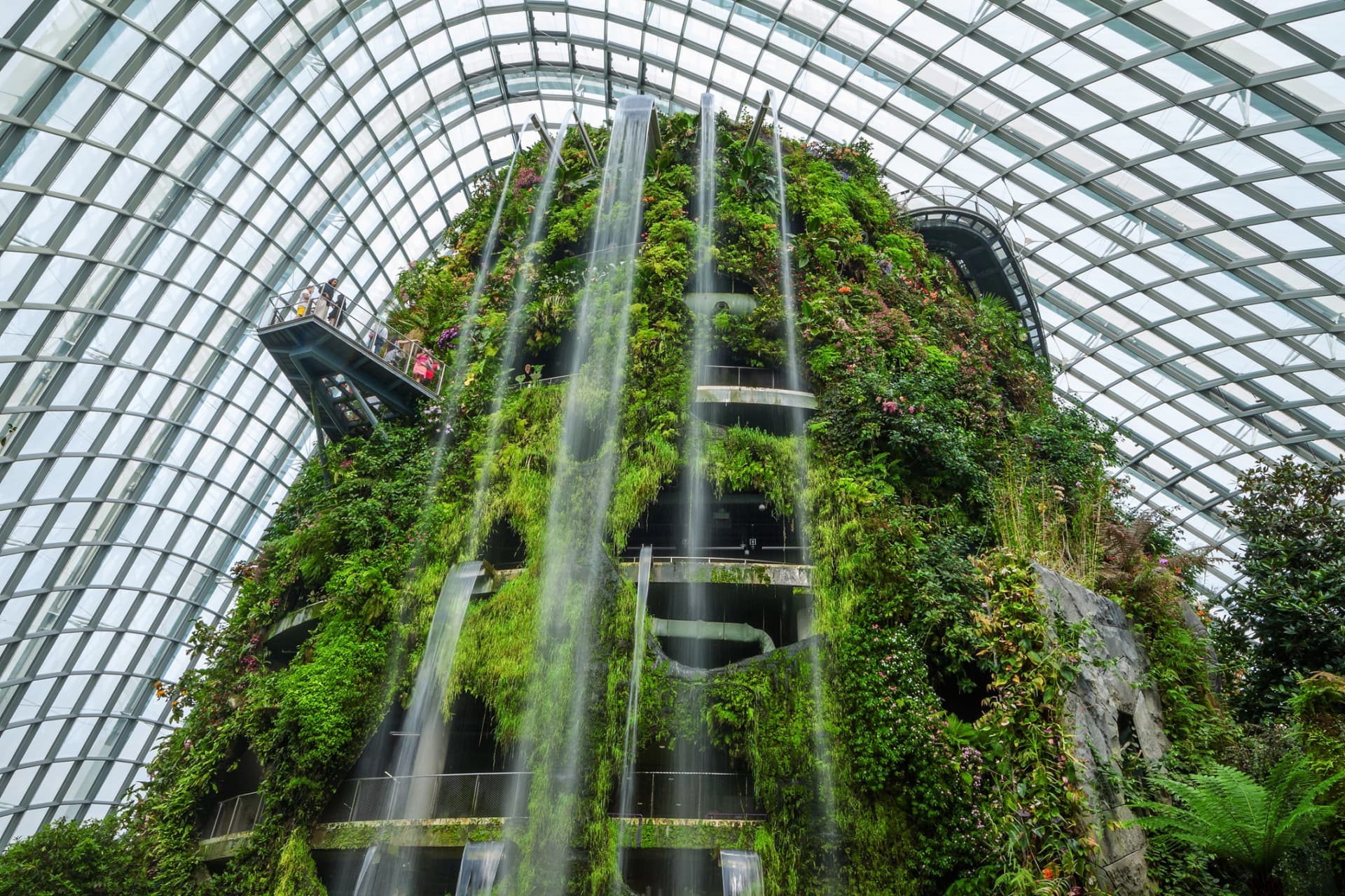 COMBO: Gardens by the Bay + National Orchid Garden Ticket - image 12